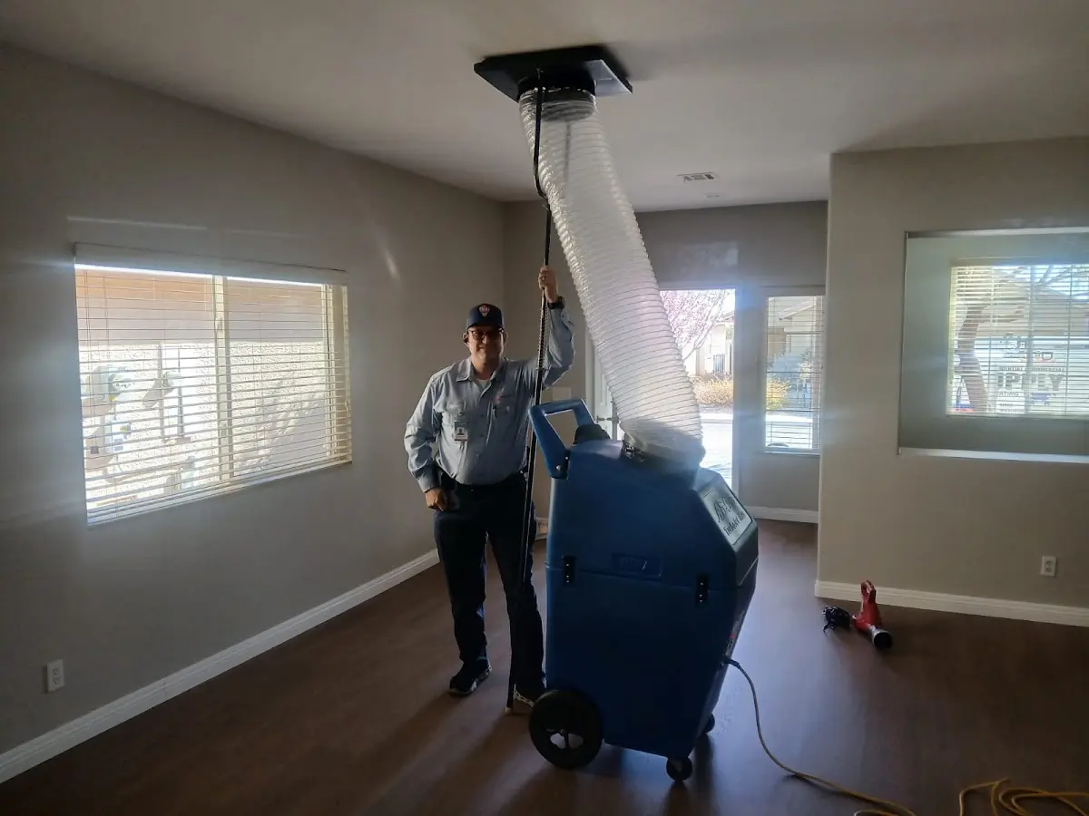 Professional Dryer Vent Cleaning work inside a Fort Collins home